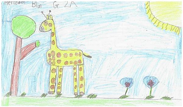 Drawing of giraffe