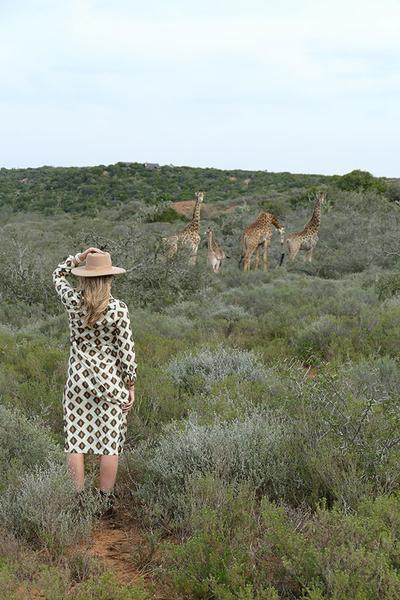 Woman with hat viewing the giraffe