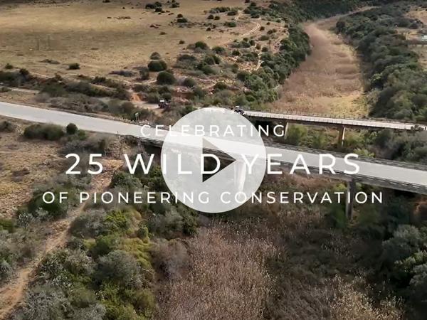 Celebrating 25 Wild Years of Pioneering Conservation Update Video