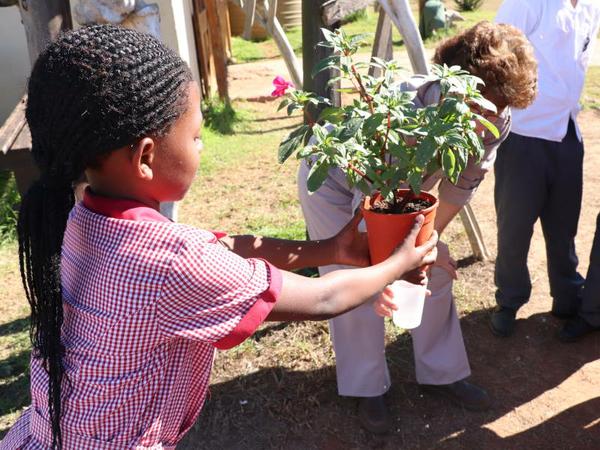 Amakhala Foundation celebrated World Environment Day