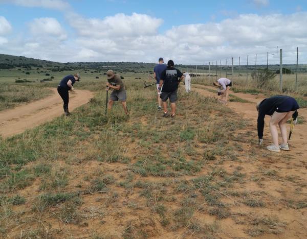 Amakhala Grassland Rehabilitation Project