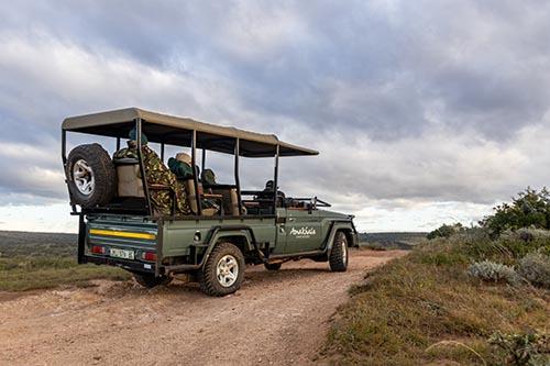 Amakhala Game Vehicle