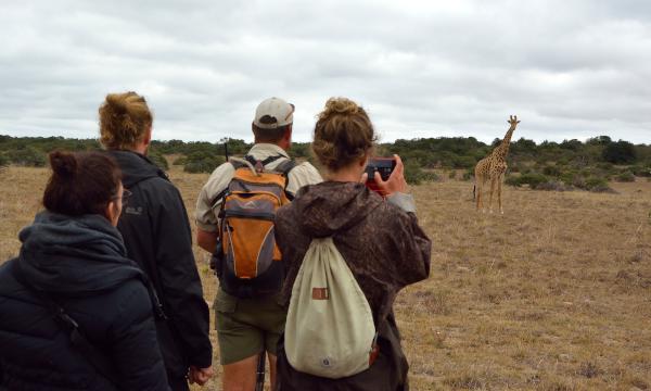 Guests on guided Big 5 wilderness walk