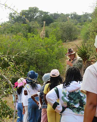 Children walking with giraffe in background