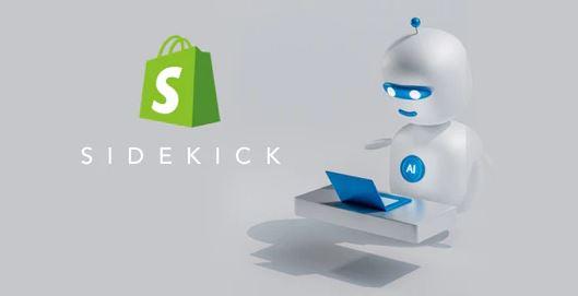 Sidekick de Shopify