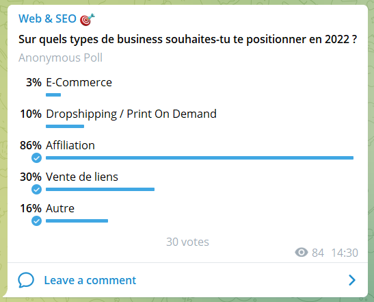 Sondage Business 2022 Telegram