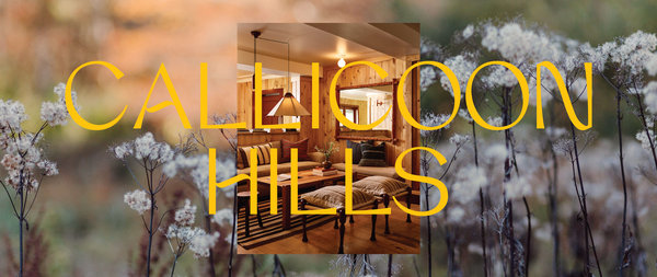 https://callicoonhills.com/history/
