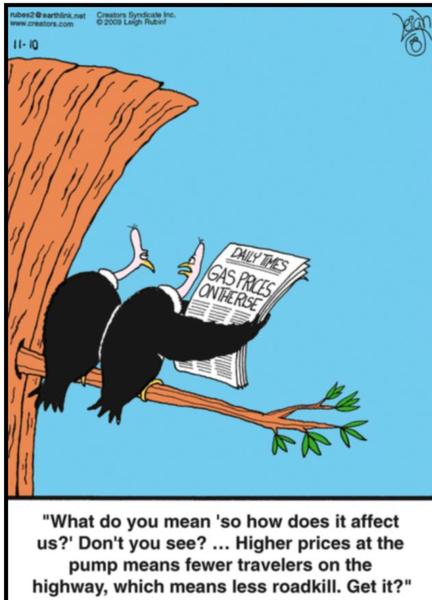 https://bluebirdofbitterness.com/