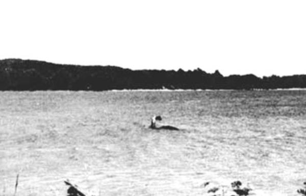 https://www.onlyinyourstate.com/vermont/folklore-of-champ-vermont/?utm_medium=email&utm_source=vermont&utm_campaign=newsletter&lctg=0000000000130643&utm_content=nlbuttonB4