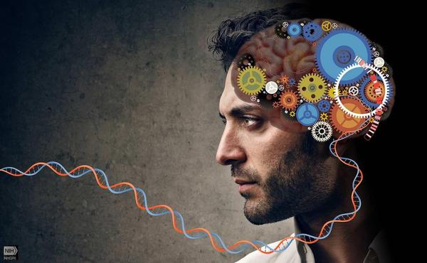 https://www.goodnewsnetwork.org/the-experience-of-being-in-the-flow-how-people-achieve-this-state-in-the-brain/