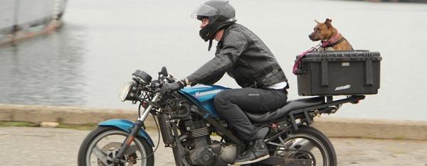 https://www.revzilla.com/common-tread/reliability-rally-report-sub-1000-motorcycles-400-miles-two-days-one-trophy