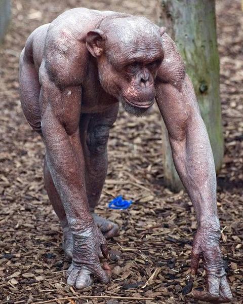 https://yeahmotor.com/places/nature/?v=infscroll&vpid=2&utm_source=outbrain&utm_medium=YMD&utm_campaign=ym_ob_dsk_0823_np_nature1&utm_content=Fox+News&utm_term=ym_ob_dsk_0823_np_nature1&dicbo=v4-ByScIHx-1131193435