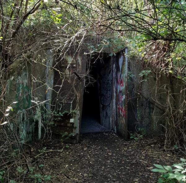 https://www.onlyinyourstate.com/west-virginia/abandonded-tnt-factory-point-pleasant-wv/?utm_medium=email&utm_source=west-virginia&utm_campaign=newsletter&lctg=0000000000130643&utm_content=nlbuttonB2