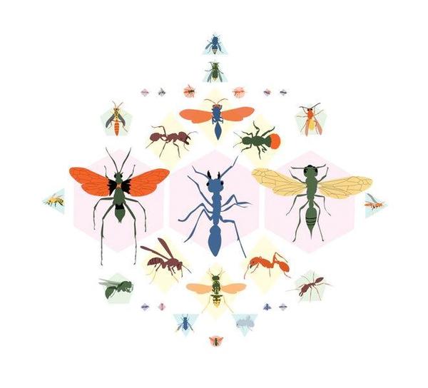 https://www.atlasobscura.com/articles/the-colorful-pain-index-of-the-stinging-ants-bees-and-wasps-around-the-world?mc_cid=2922f2b880&mc_eid=568804ebbf