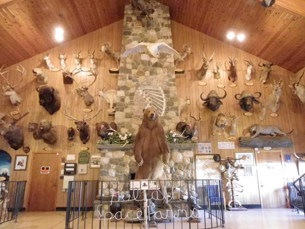 https://www.onlyinyourstate.com/new-jersey/space-farms-zoo-restaurant-nj/