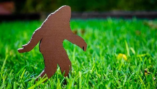 https://www.coasttocoastam.com/article/washington-state-fifth-graders-secure-sasquatch-protection-for-third-straight-year/