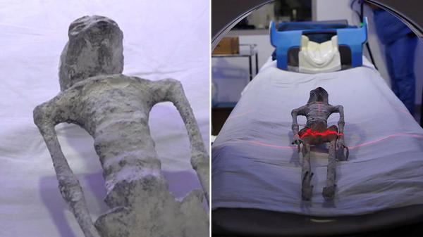 https://www.coasttocoastam.com/article/video-alleged-alien-body-x-rayed-ct-scanned/