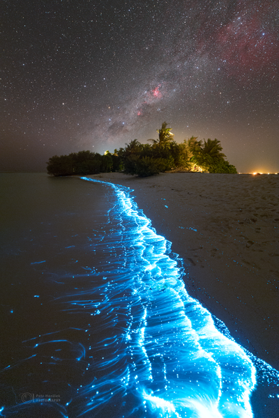 https://earthsky.org/earth/what-is-bioluminescence-living-light-beaches-animals/?utm_source=EarthSky+News&utm_campaign=bf70d5b52c-EMAIL_CAMPAIGN_2018_02_02_COPY_01&utm_medium=email&utm_term=0_c643945d79-bf70d5b52c-394351805&mc_cid=bf70d5b52c&mc_eid=f880efcf2a