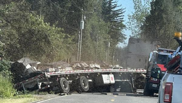 https://www.foxweather.com/weather-news/250-million-bees-truck-crash-lynden-washington