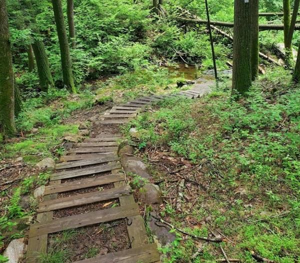 https://www.onlyinyourstate.com/new-jersey/little-known-natural-wonder-trail-nj/?utm_medium=email&utm_source=new-jersey&utm_campaign=newsletter&lctg=0000000000130643&utm_content=nlbuttonB1