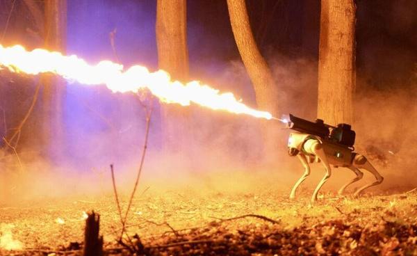 https://arstechnica.com/gadgets/2024/04/you-can-now-buy-a-flame-throwing-robot-dog-for-under-10000/