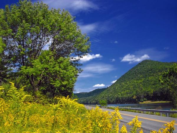 https://www.onlyinyourstate.com/pennsylvania/backroads-pa/?utm_medium=email&utm_source=pennsylvania&utm_campaign=newsletter&lctg=0000000000130643&utm_content=nlbuttonB6