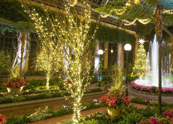https://longwoodgardens.org/gardens/our-seasons/longwood-christmas?gad_source=1&gclid=Cj0KCQiAsvWrBhC0ARIsAO4E6f_8OyoejNJgjq4aKxBFbA76vk3mqn68zofVpMcGW2BO0zeTVckrXwwaAtGQEALw_wcB&gclsrc=aw.ds
