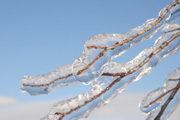 https://earthsky.org/earth/all-about-freezing-rain/?utm_source=EarthSky+News&utm_campaign=4cbcc37e33-EMAIL_CAMPAIGN_2018_02_02_COPY_01&utm_medium=email&utm_term=0_c643945d79-4cbcc37e33-394351805&mc_cid=4cbcc37e33&mc_eid=f880efcf2a
