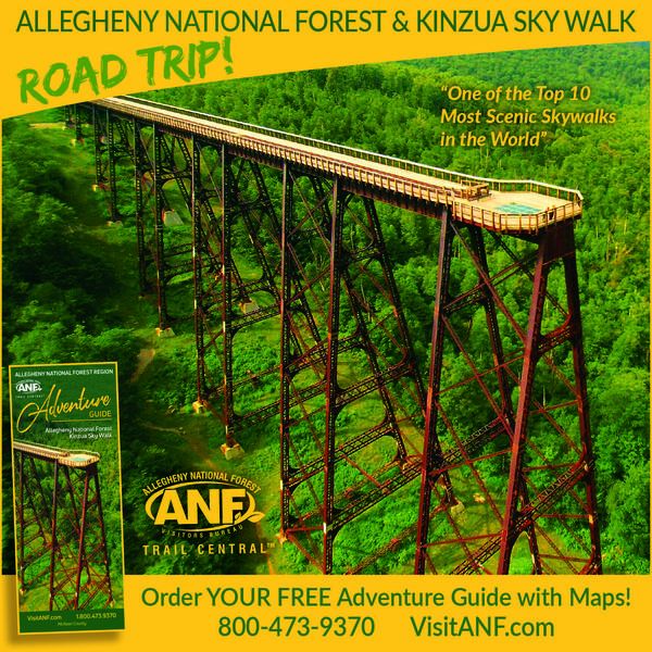 https://visitanf.com/