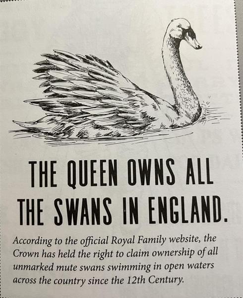 https://www.willowcreekpress.com/products/49229
