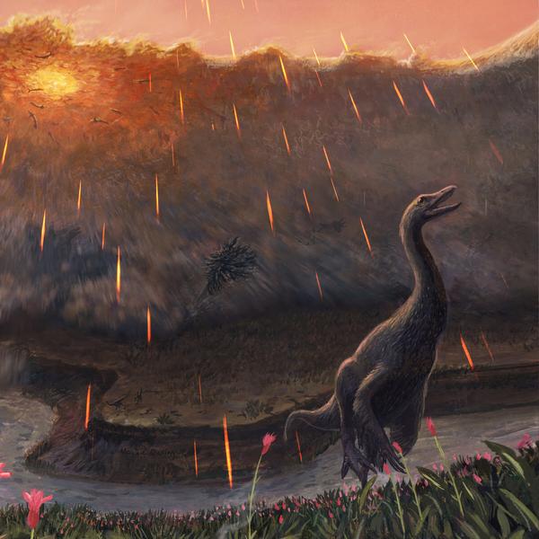 https://www.coasttocoastam.com/article/researchers-find-fossil-of-dinosaur-killed-on-day-of-infamous-asteroid-strike/