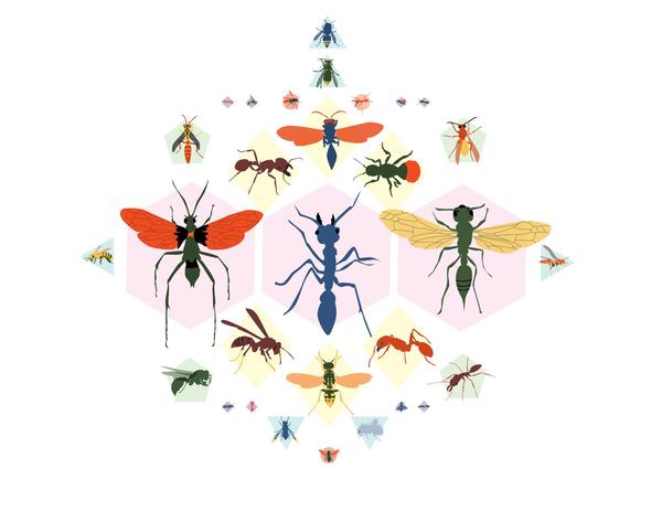 https://www.atlasobscura.com/articles/schmidt-pain-index-sting-bees-insects?utm_source=Atlas+Obscura+Daily+Newsletter&utm_campaign=d87940d2fb-EMAIL_CAMPAIGN_2023_04_27&utm_medium=email&utm_term=0_-d87940d2fb-%5BLIST_EMAIL_ID%5D&mc_cid=d87940d2fb&mc_eid=568804ebbf