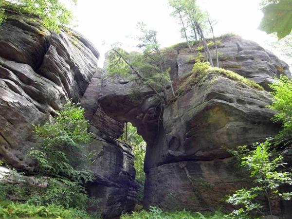 https://www.onlyinyourstate.com/new-york/rock-city-park-ny/?utm_medium=email&utm_source=new-york&utm_campaign=newsletter&lctg=0000000000130643&utm_content=nlbuttonB6
