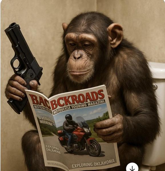 https://backroadsusa.com/