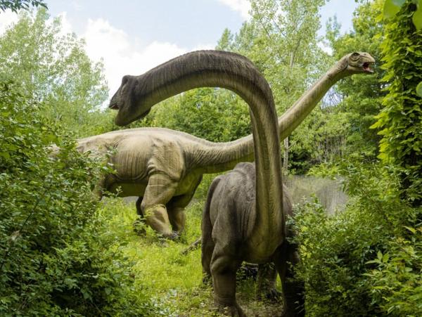  https://www.onlyinyourstate.com/new-jersey/nj-dino-park/?lctg=0000000000130643