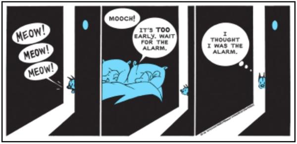 https://bluebirdofbitterness.com/