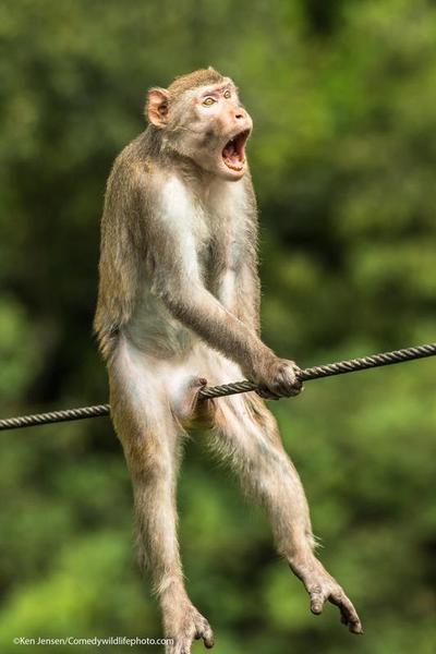 https://historydaily.org/50-times-mother-nature-proved-to-be-funny/3?utm_source=taboola&utm_campaign=Prez-Tab-US-Desk-BB-FunnyAnimals-MT-011823&utm_medium=preznataboola&utm_term=crashmedia&utm_content=3623107475#tblciGiACSbTNynm8ZQfFbkUUFuwYP58TC_nnOX9wLukqjEP6_yCPgVQouI-ruJnXrtFb