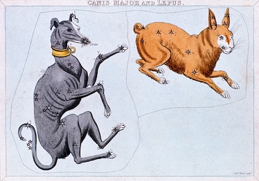 https://www.history.com/news/why-are-they-called-the-dog-days-of-summer?cmpid=email-hist-inside-history-onequestion-2022-0708-07082022&om_rid=