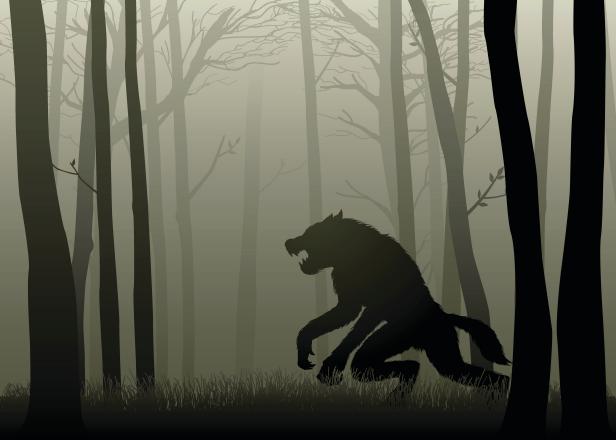 https://www.travelchannel.com/shows/mountain-monsters/articles/10-mountain-monsters-found-lurking-in-appalachia