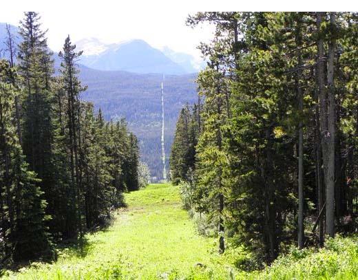 https://www.atlasobscura.com/places/uscanada-border-slash?utm_source=Places+Newsletter+Audience&utm_campaign=5aaf1481f6-EMAIL_CAMPAIGN_2024_01_06_Places&utm_medium=email&utm_term=0_-5aaf1481f6-%5BLIST_EMAIL_ID%5D&mc_cid=5aaf1481f6&mc_eid=568804ebbf