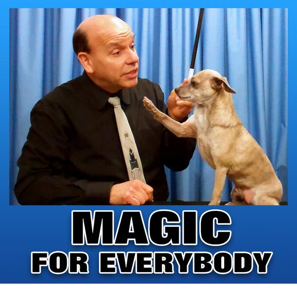 Magic Tricks.com