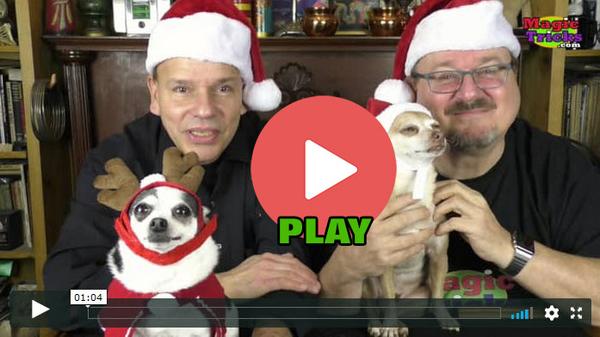 Merry Christmas Message To You