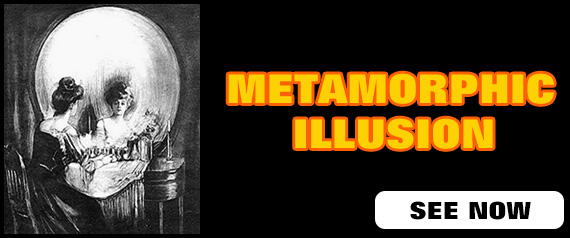 Metamorphic Illusion