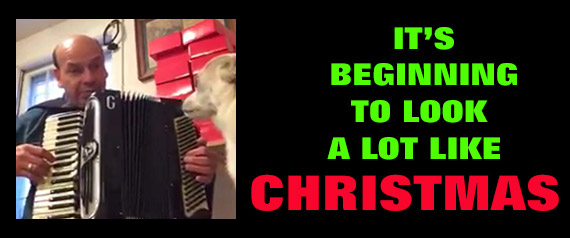 Peter Plays Accordion for Christmas