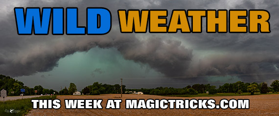 Wild Weather
