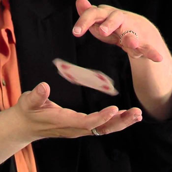 Hummingbird Card Magic Trick