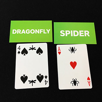 Bugged Out Card Trick
