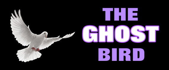 The Ghost Bird