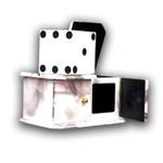White Marbled Die Box Magic Trick