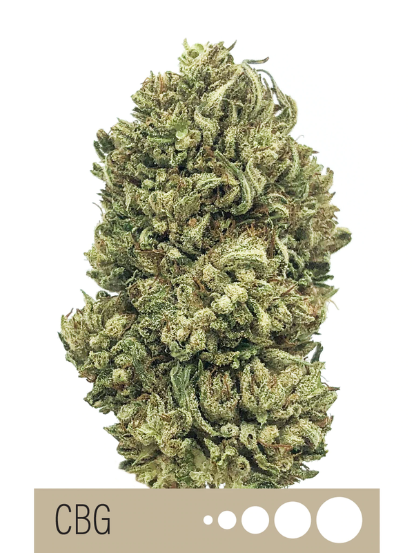Organic CBG Flower - 21.83% CBG